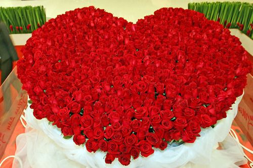 500 Valentine red roses heart