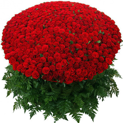 300 Valentine red roses arrangement