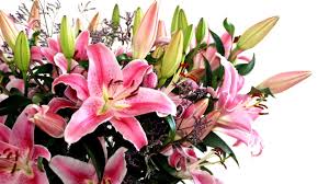 Pink Flowers in a Bouquet