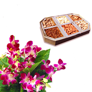 1/2 kg Dry fruits and 6 orchids
