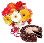 10 yellow gerberas in a basket + 1/2 kg. Chocolate Cake