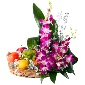 Orchids with 2 kg fruits
