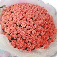 150 Roses of pink arranged in basket