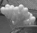 White blown balloons
