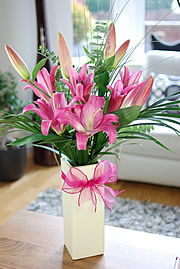 Lilies in vase.