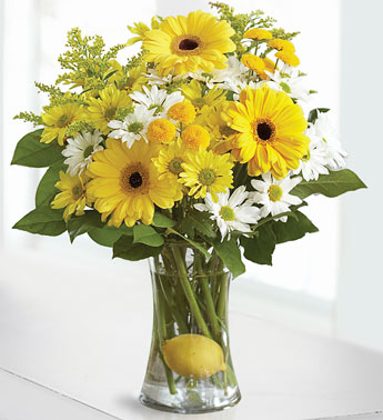 roses in a vase 