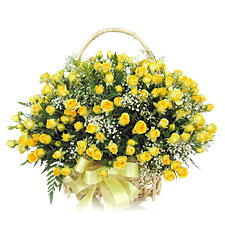 Yellow roses basket