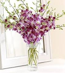Orchids in a galss vase