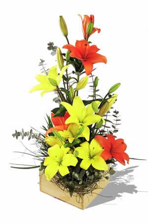 Mix Lilies in a basket