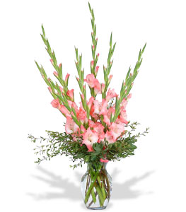 12 pink gladioli in a vase