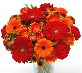 15 Gerberas on a stand