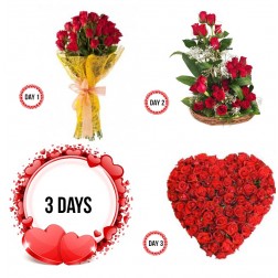 Day-1 12 red roses Day-2 15 red rose basket Day-3 24 red roses heart