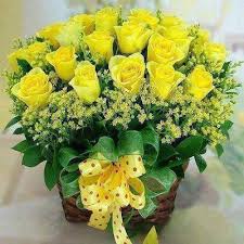 24 yellow roses in a basket