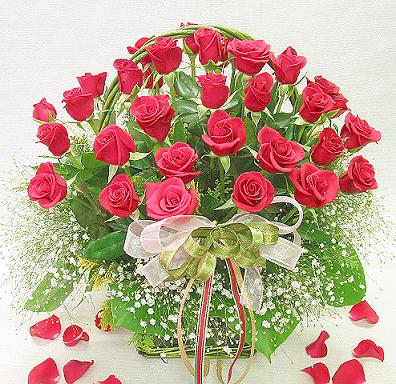 Basket of 50 red roses