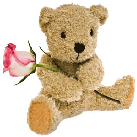 Teddy and a single rose