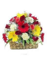 Flowers in a basket