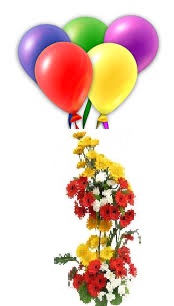 5 coloured Air filled balloons 20 Mix Gerberas 2 tier basket
