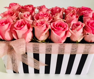 18 pink roses in striped box