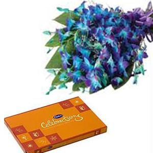 Celebration Chocolates and 10 Blue orchids bouquet