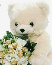 White or cream Teddy with bouquet of ferrero rocher chocolates and 6 white roses