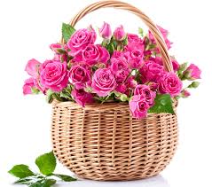 Pink flowers in a basket