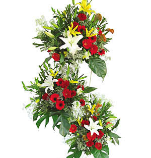 Large Arrangement-3 to 4 feet- of White and yellow lilies Red gerberas