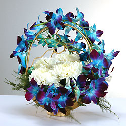 Arrangement of 6 white carnations 6 blue Orchids on Handle
