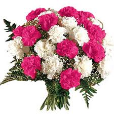 Mix carnations