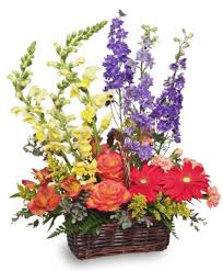 Basket of flowers