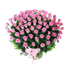 50 pink roses in a basket