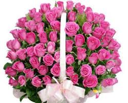 100 pink roses in a basket