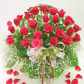 24 red roses basket