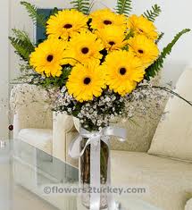 12 Yellow gerberas vase