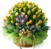 50 yellow roses in a basket