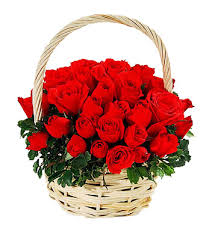 24 roses basket