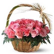 40 pink roses in a basket