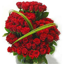 100 red roses in a basket