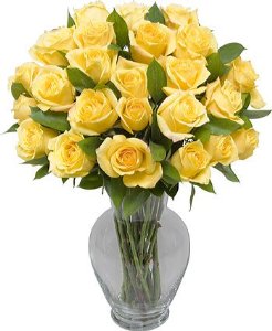 12 yellow roses vase