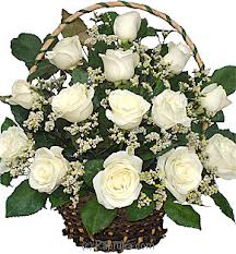 White roses