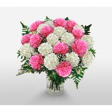 24 carnations in a vase