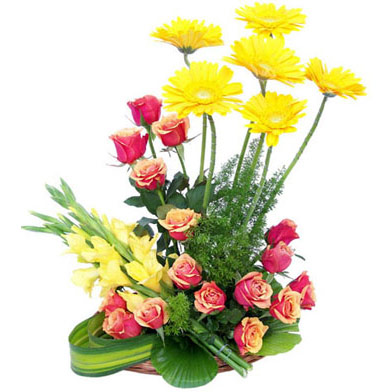 24 gerberas gladioli basket