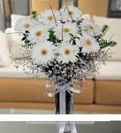 40 white gerberas in a vase