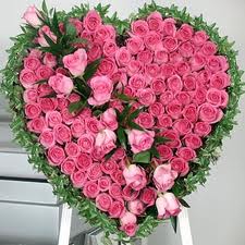 heart shaped roses
