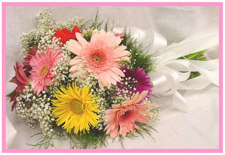 12 Gerberas in a bouquet