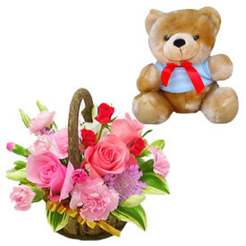 Teddy bear 6 inch with 12 pink roses basket