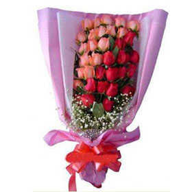 Pink red roses bouquet