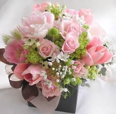 20 light pink roses