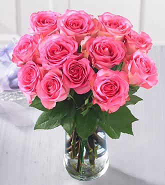 12 pink roses in a vase