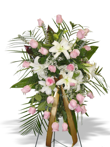 Send Flowers to Pune, Send Gifts to Pune:Pune FLORIST