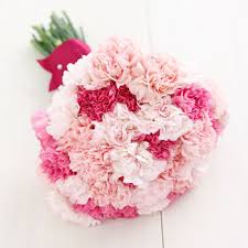 Pink white carnations bouquet